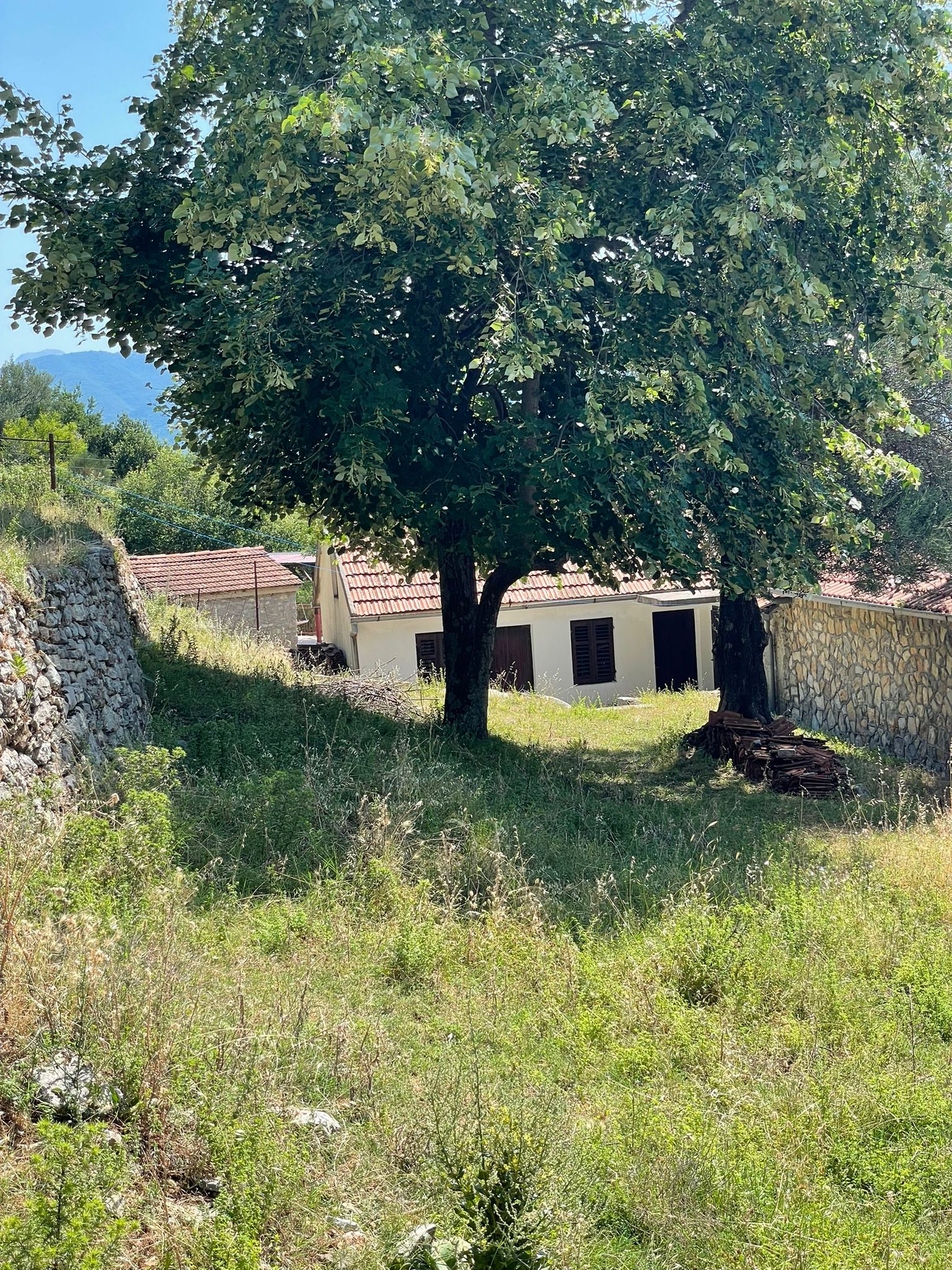 Image of House - 4 Bedrooms - 1 Bathrooms for Sale in Herceg-Novi-Djenovici-Montenegro, Image 6
